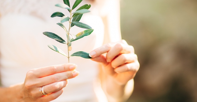 Counselling / Assessment / Psychological Services